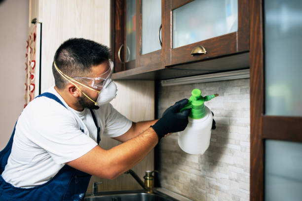 Best Pest Control Near Me  in Mason, OH