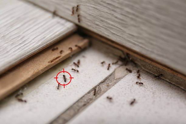 Pest Control for Restaurants in Mason, OH
