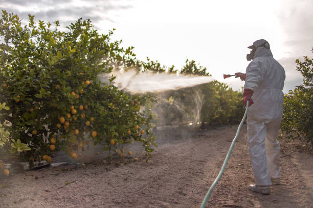 Best Pest Removal Services  in Mason, OH