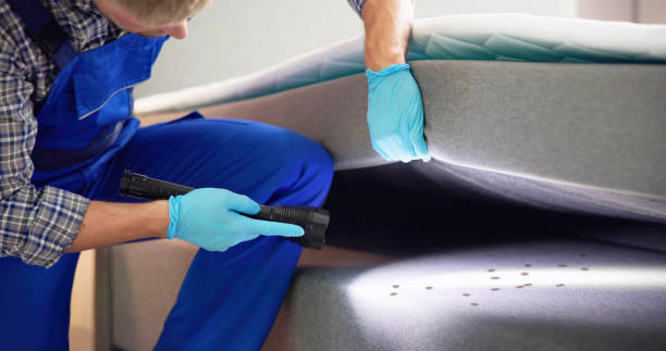 Best Pest Control for Restaurants  in Mason, OH